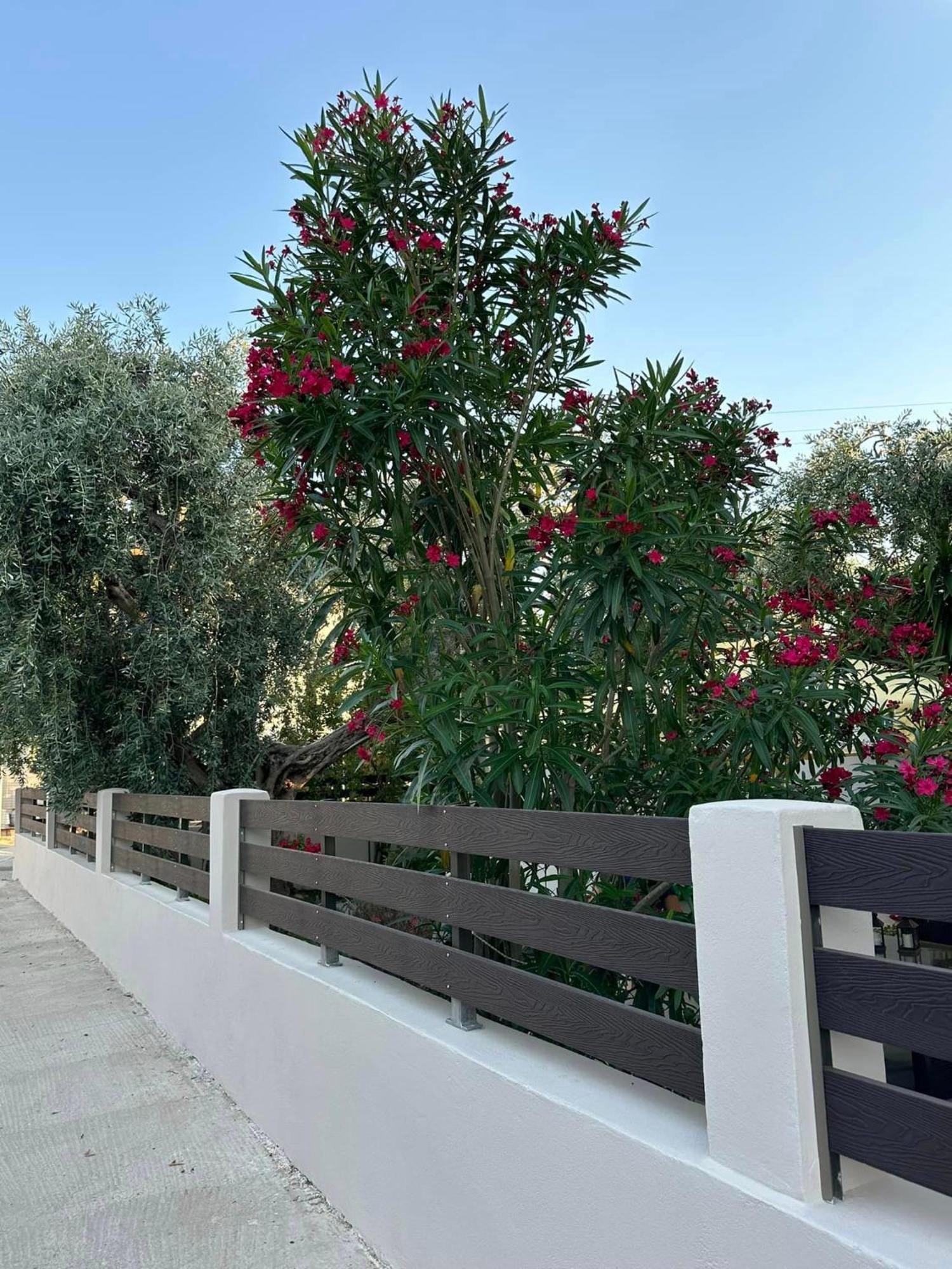 Valia House Thassos Apartment Skala Kallirakhis Exterior photo